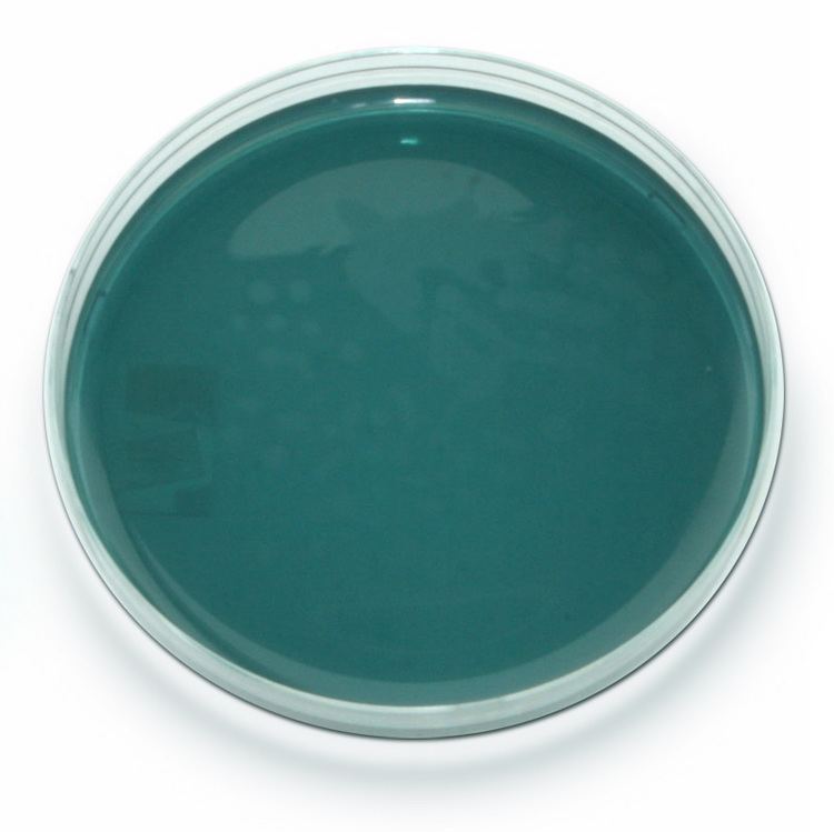 MELAB TCBS Agar