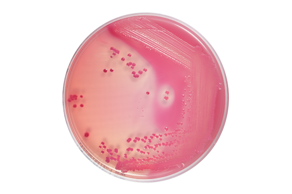 MELAB MacConkey Agar