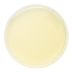 MELAB Nutrient Agar